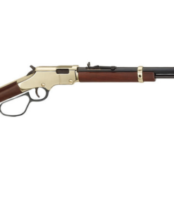 Henry Golden Boy 22 Magnum Lever Action Rimfire Rifle with Large Loop